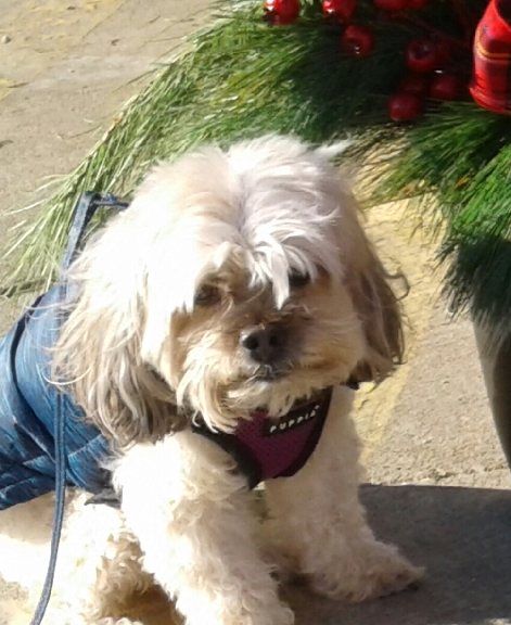 Buddy Baxter Sterling - older